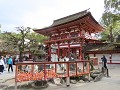 IMG 0223