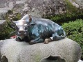 IMG 0224