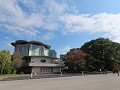 IMG 0079