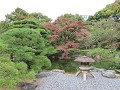 IMG 0086