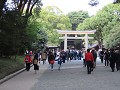 IMG 0100