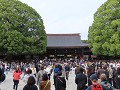 IMG 0102