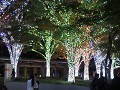 IMG 0120