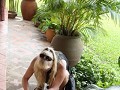 Mich/mama geeft natuurlijk niet alleen aandacht aa
