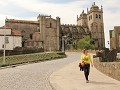 IMG 5731