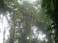 Monteverde Nationaal Park