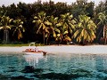 WE MAAKTEN OOK EEN TRIP NAAR AITUTAKI.