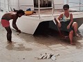 CATCH OF THE DAY.