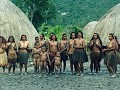 WAMENA - DANI WOMEN 2