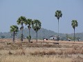 DON KHONG LANDSCHAP.