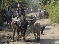 AKHA-DORP-SCENE.