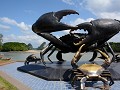 KRABI BETEKENT "ZWAARD" EN NIET KRAB !