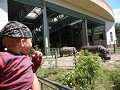 De zoo in Calgary, enige hoogtepunt in deze stad