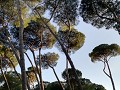 Park Villa Borghese