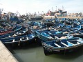 In de haven in Essaouira is het een belevenis te z