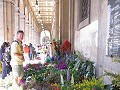 An amazing flower market. Patsy this is when I was