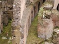 The Colosseum basement where the animals were kept