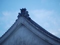 Ornamental roof finnishing