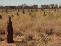 Een horizon vol termietenheuvels.