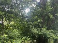 IMG 7925