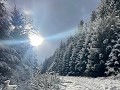 IMG 1221