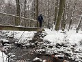IMG 1247