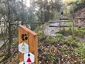 IMG 1661