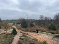 IMG 1590