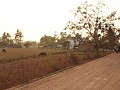The countryside