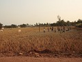 Volleybalveld.