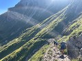 IMG 5942
