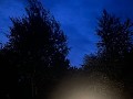 IMG 8516