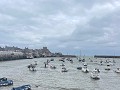 IMG 8565