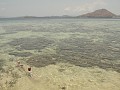 Al snorkelend op zoek naar Nemo.