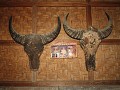 Twee buffels in ruil voor de bruid.