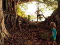 Kennismaking met onze eerste mangroveboom.