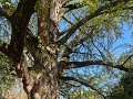 IMG 2703
