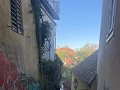 IMG 2714