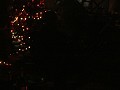 Licht van kampvuur en kerstboom.