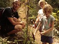 In de Cameron Highlands vonden we weer bekerplante
