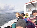 De rubberboot breng ons naar de wadden met zeehond