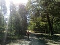 Bestemming 3: de Hoge Veluwe.