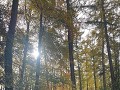 IMG 0023