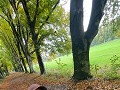 IMG 9956