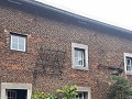 IMG 9949