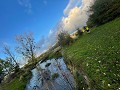 IMG 9926