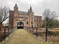 IMG 0993