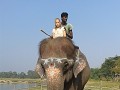 Lisse op de olifant voor hij zijn bad krijgt.