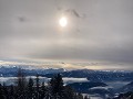 IMG 6187