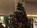 Kerstboom in hotel New Siam 2.